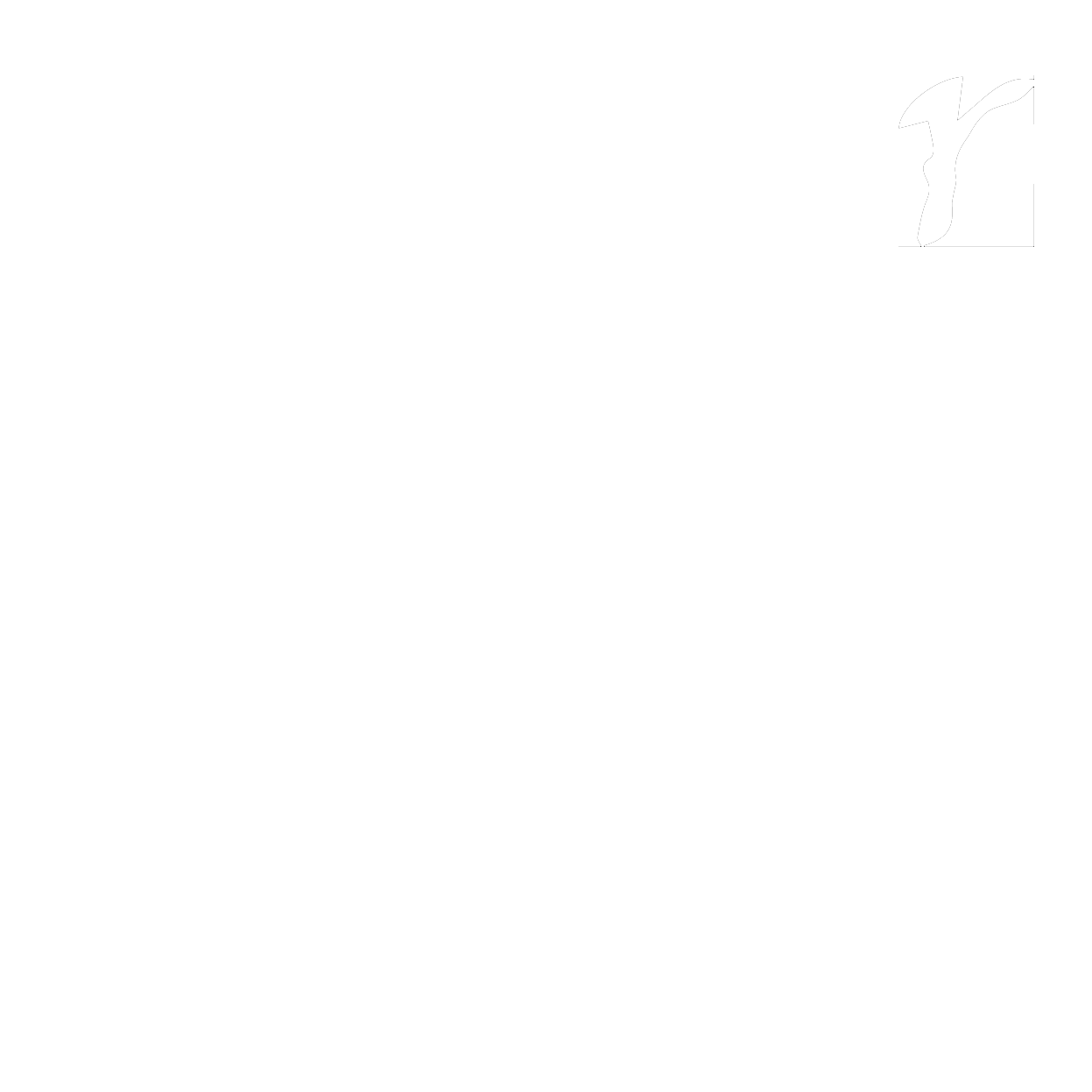 Visundr